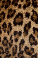 LEOPARD THROW PILLOW COVER