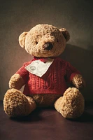 CHILDREN’S CHRISTMAS PLUSH TOY BEAR