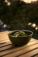 ENAMELED CAMPING BOWL