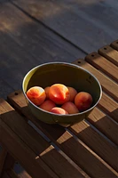 ENAMELED CAMPING BOWL