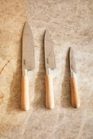 SET OF KNIVES WITH WOODEN HANDLES