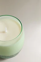 (230 G) VETIVER MELON SCENTED CANDLE