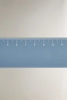 CHILDREN’S DINOSAUR RULER