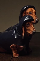 WATER-REPELLENT PET RAINCOAT