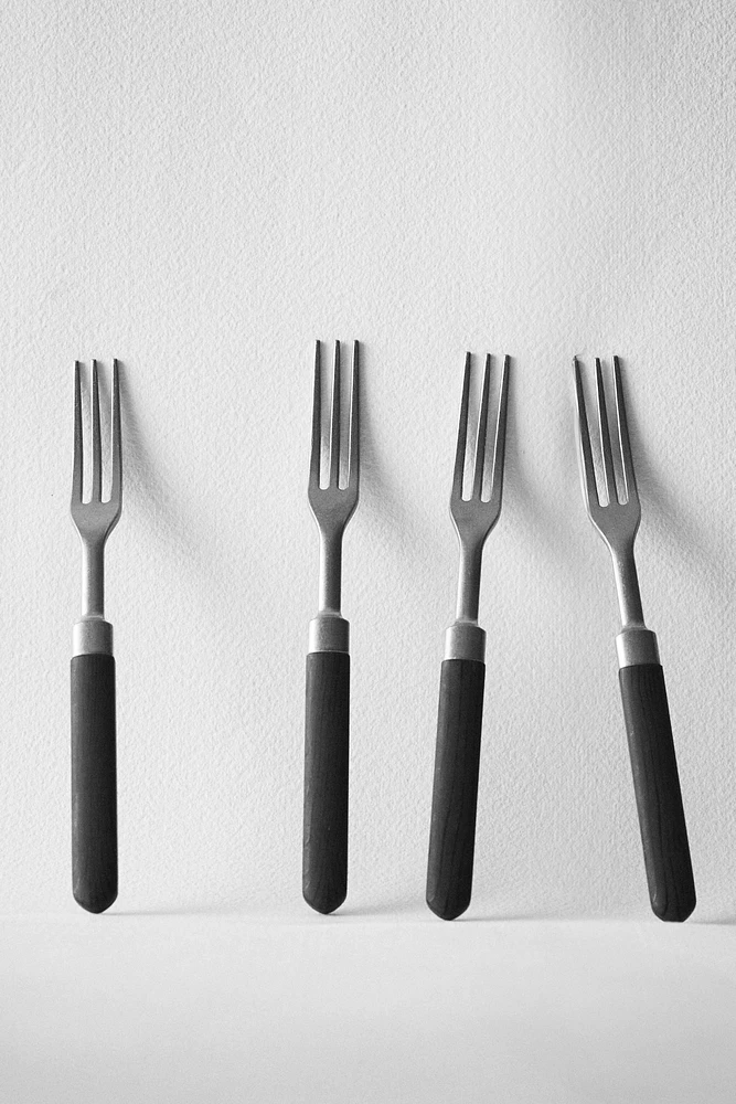 SET OF FORKS WITH RESIN HANDLE (SET OF 4)