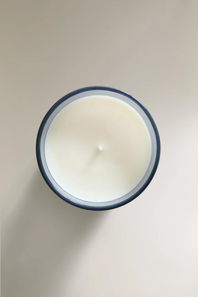 (350 G) LUMINOUS CAMELLIA SCENTED CANDLE