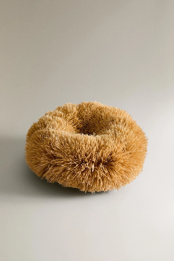 SISAL SCOURER