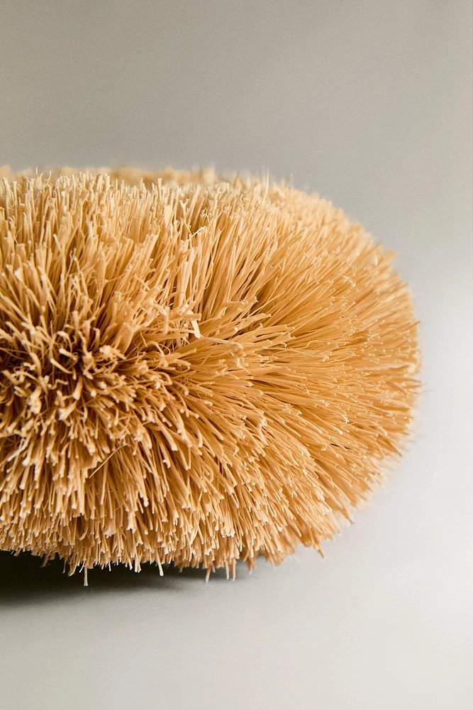 SISAL SCOURER