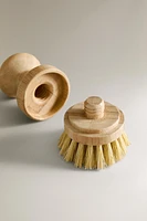 BRUSH WITH INTERCHANGEABLE BRISTLES