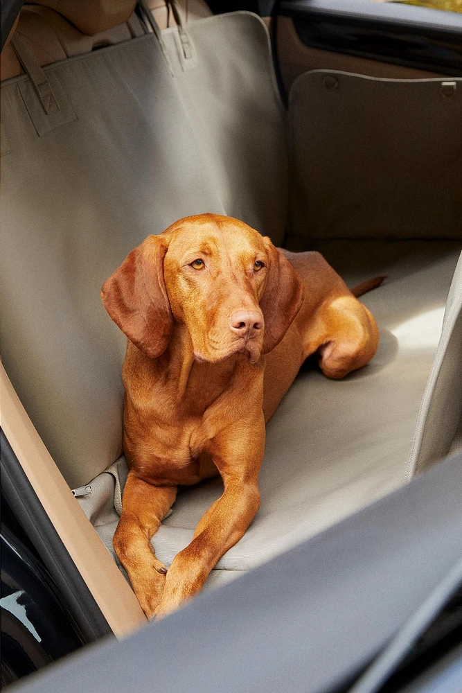 PET CAR BLANKET