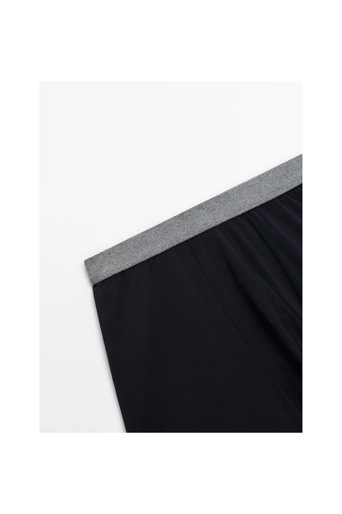 Boxer à taille grise
