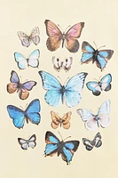 MARIAN ELLIS ROWAN BUTTERFLY PRINT T-SHIRT