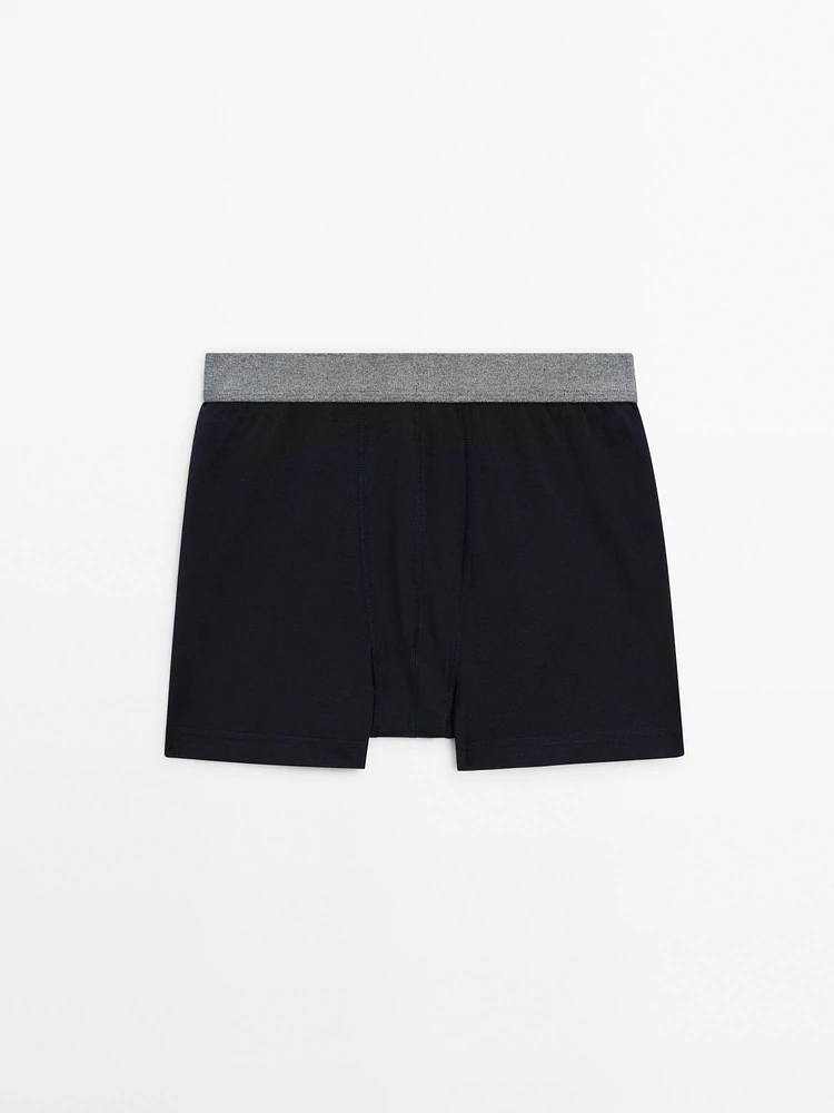 Boxer à taille grise