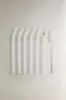 SET OF FLORAL BOROSILICATE GLASS STRAWS (SET OF 6)