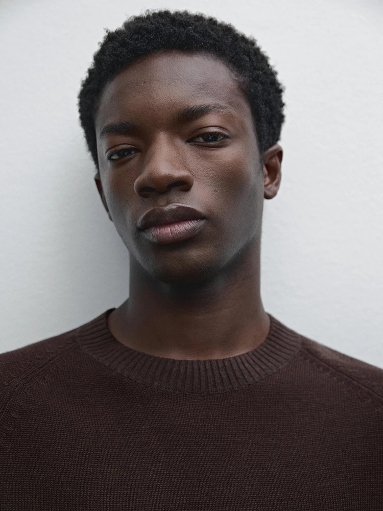 Linen blend crew neck sweater