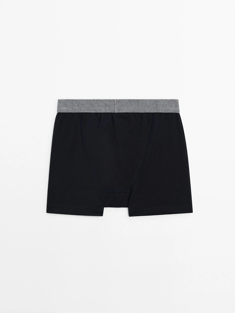 Boxer à taille grise