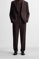 REGULAR FIT SUIT PANTS