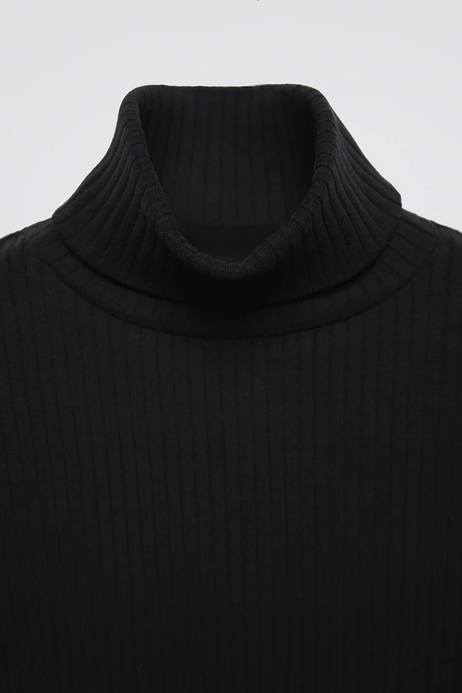 RIB TURTLENECK SWEATER