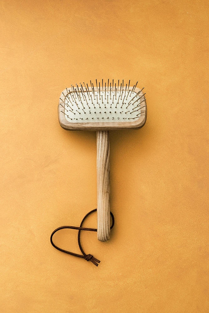 BROSSE ANIMAL DE COMPAGNIE