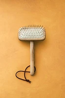 BROSSE ANIMAL DE COMPAGNIE