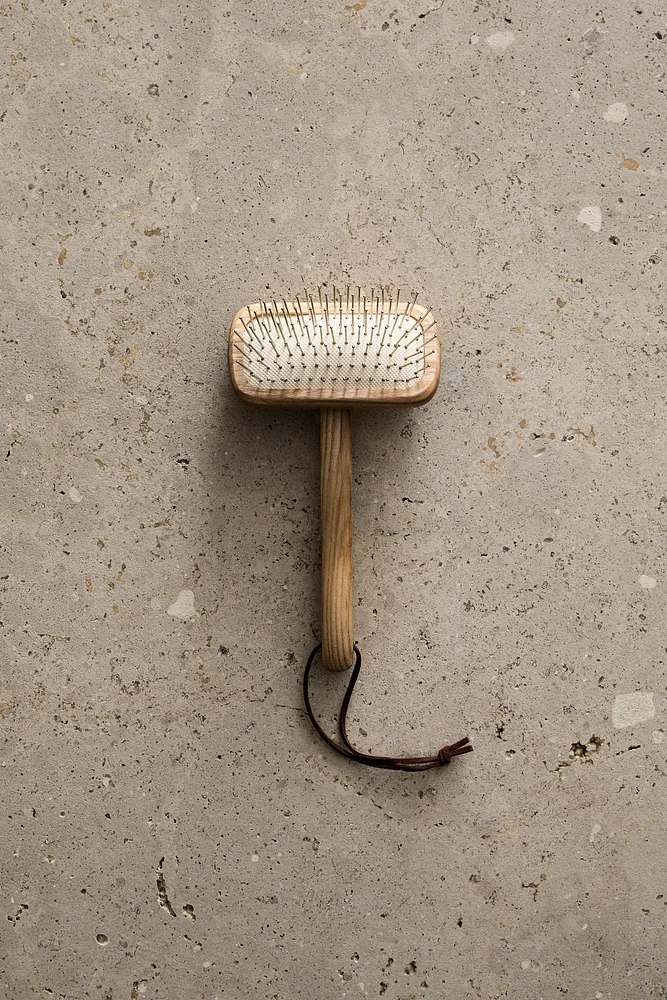 BROSSE ANIMAL DE COMPAGNIE