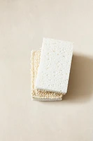 SCRUB SPONGE (PACK OF 2)