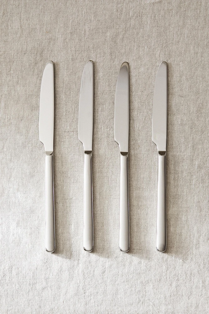 SET OF SHINY STEEL KNIVES (SET OF 4)
