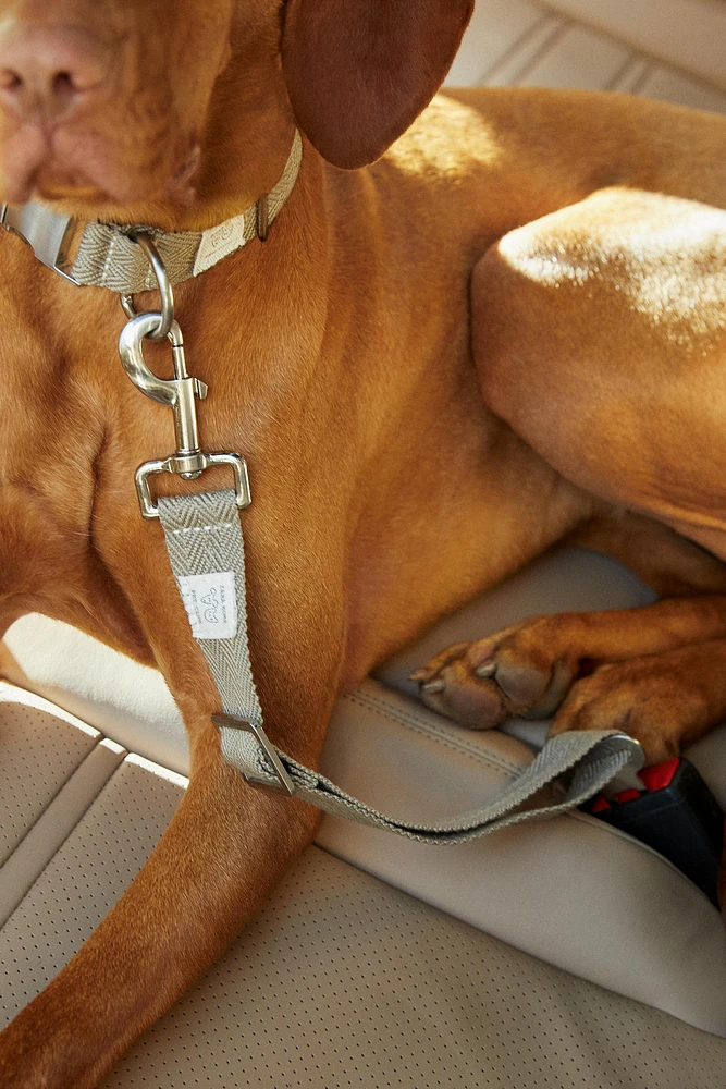 CEINTURE DE SÉCURITÉ VOITURE ANIMAL COMPAGNIE