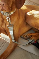 CEINTURE DE SÉCURITÉ VOITURE ANIMAL COMPAGNIE