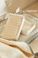 SCRUB SPONGE (PACK OF 2)