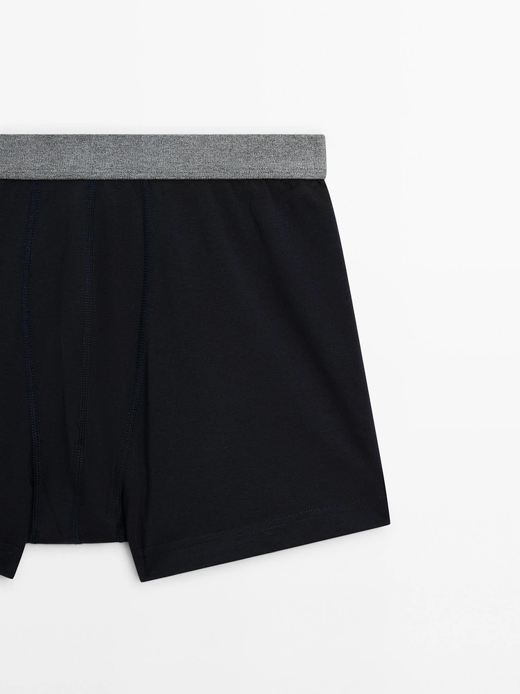 Boxer à taille grise