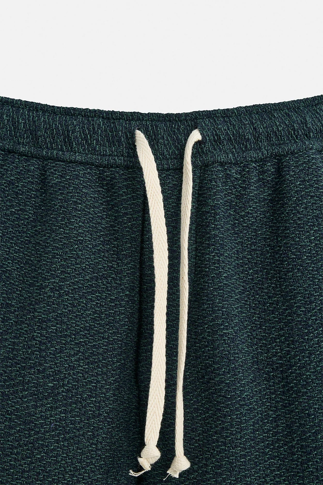 TEXTURED REGULAR FIT SHORTS