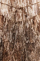 ROBE HALTER ESTAMPÉE ZW COLLECTION