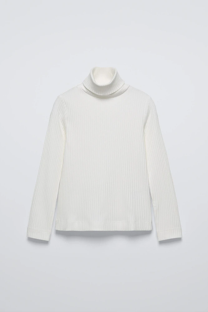 RIB TURTLENECK SWEATER