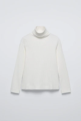 RIB TURTLENECK SWEATER