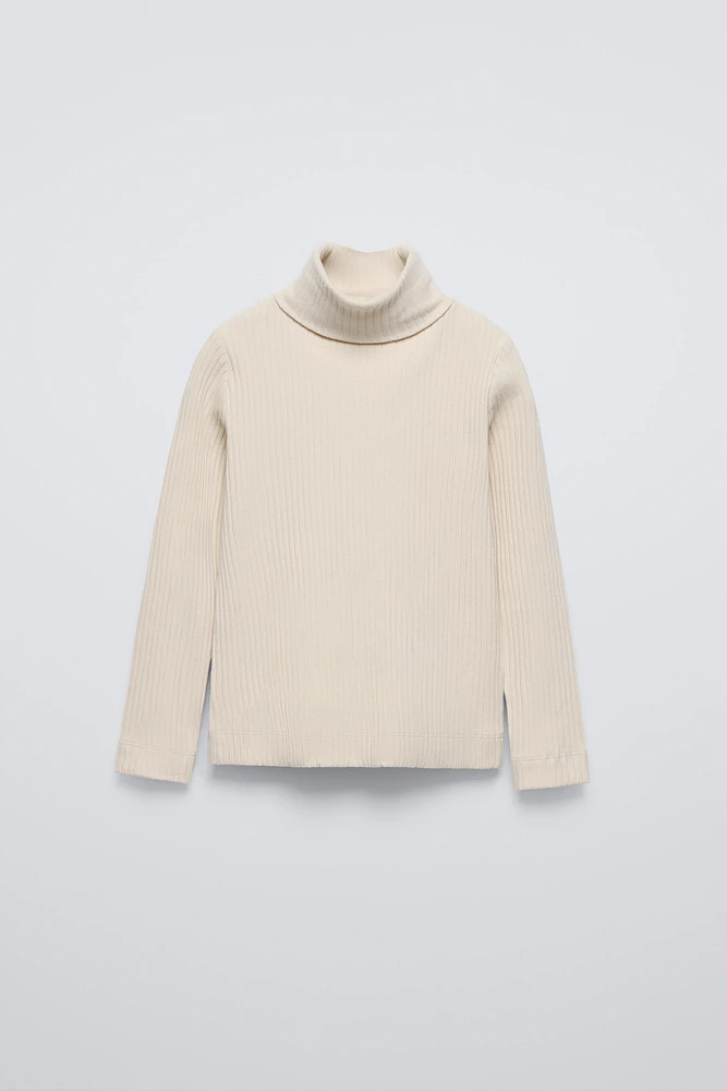 RIBBED TURTLENECK