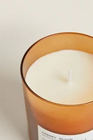 (200G) AMBERY WOOD SCENTED CANDLE