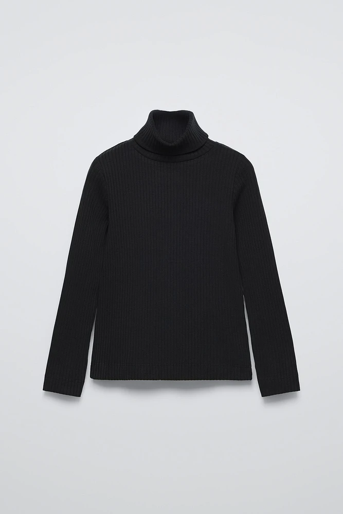 RIB TURTLENECK SWEATER