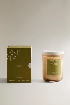(250 G) BOUGIE PARFUMÉE FOREST MATE