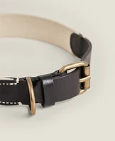 STRIPED PET COLLAR