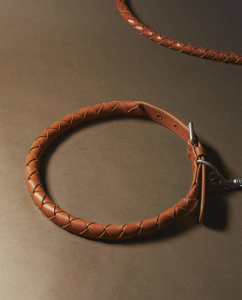 BRAIDED PET COLLAR