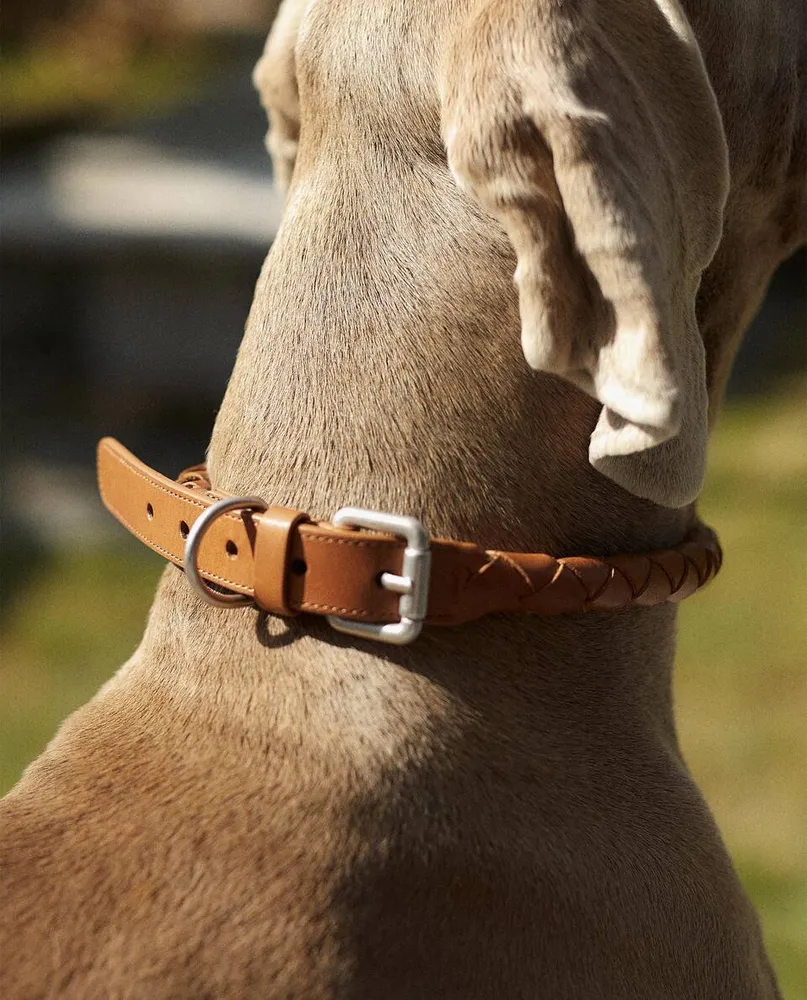 BRAIDED PET COLLAR