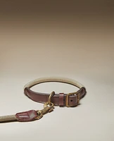 LEATHER AND ROPE PET COLLAR