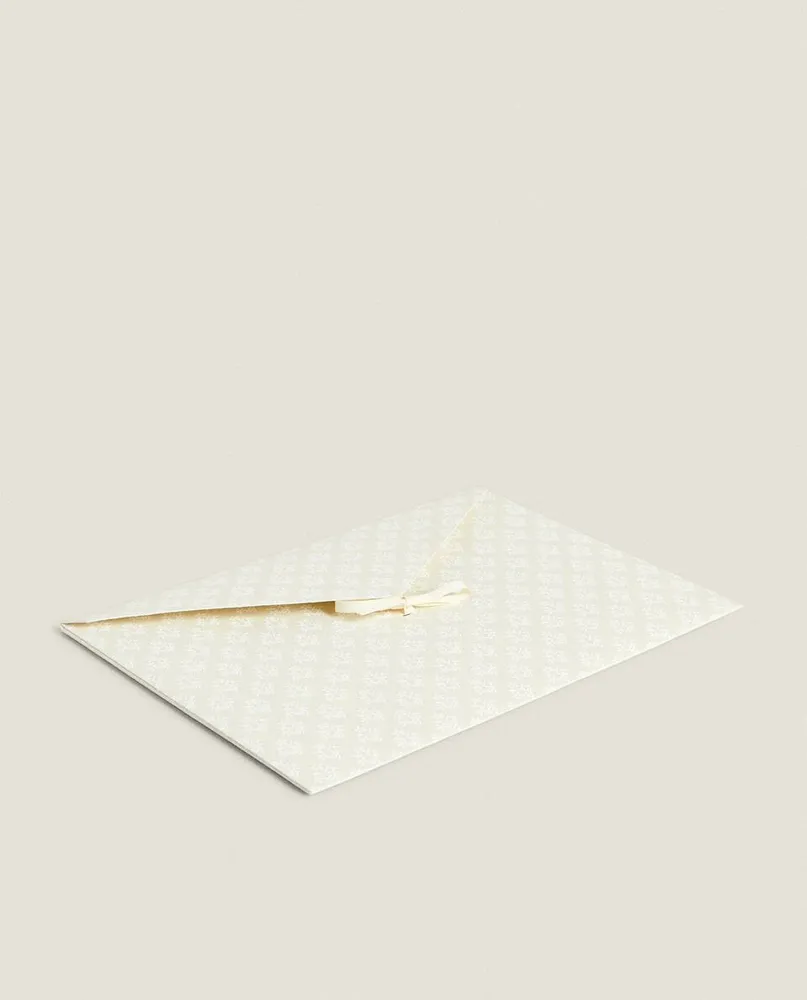 DOCUMENT ENVELOPE