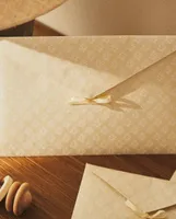 DOCUMENT ENVELOPE