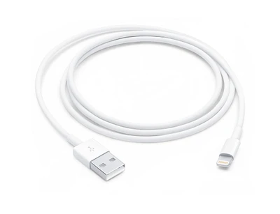Lightning to USB Cable (1 m)