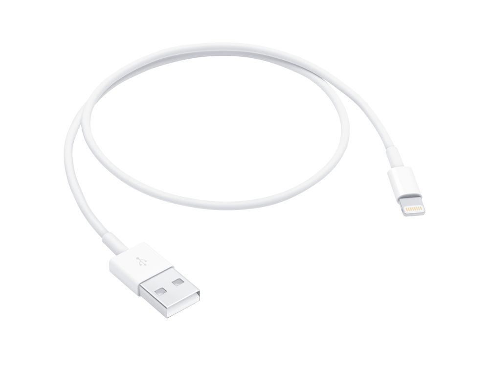 Lightning to USB Cable (0.5 m)