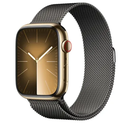 Apple Watch Series 9 GPS + Cellular, 45mm Gold Stainless Steel Case with Graphite Milanese Loop