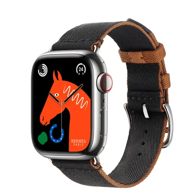 Apple Watch Hermès Series 9 GPS + Cellular, 41mm Silver Stainless Steel Case with Noir/Gold Twill Jump Single Tour