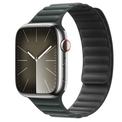 Apple Watch Series 9 GPS + Cellular, 45mm Silver Stainless Steel Case with Evergreen Magnetic Link - S/M